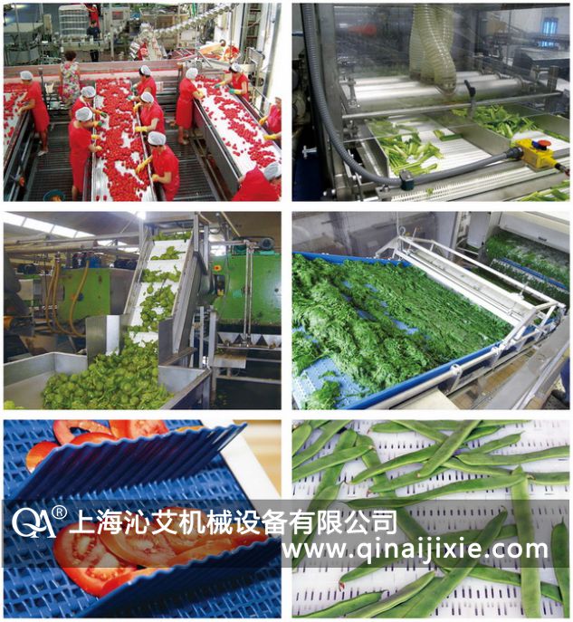 PP塑料食品網帶輸送機 PP塑料食品網帶輸送機